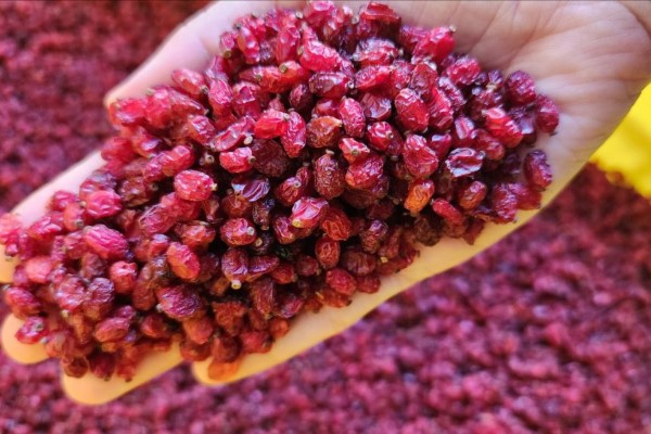 تصویر 4 از خرید و قیمت زرشک پفکی اعلا + فروش صادراتی